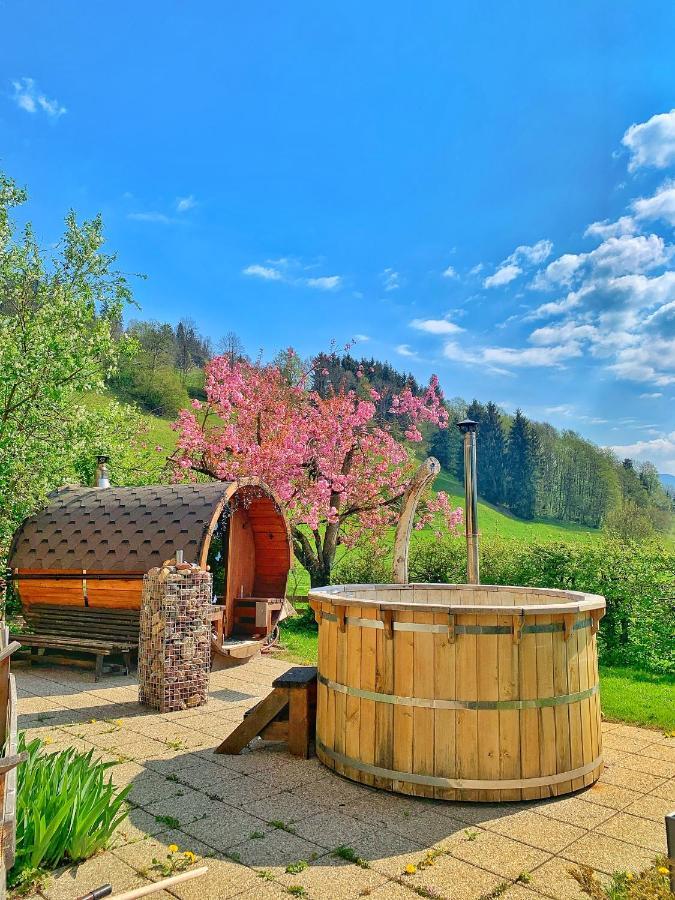 Hotel Garni Wieshof Kirchberg in Tirol Ngoại thất bức ảnh