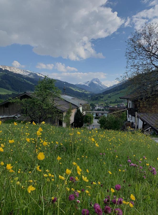 Hotel Garni Wieshof Kirchberg in Tirol Ngoại thất bức ảnh